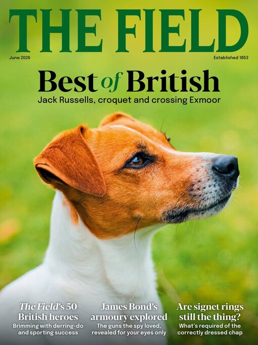 Cover image for The Field